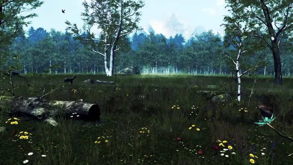 Representation of a calming meadow in virtual reality