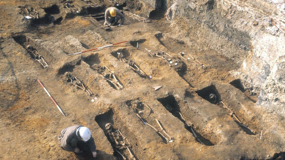 A mass burial site with skeletons unearthed