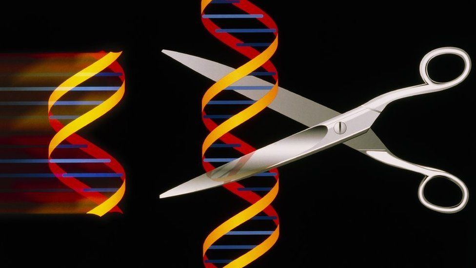 gene editing graphic